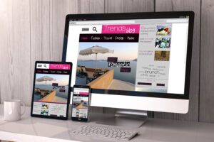 Professional web design company in Benin City